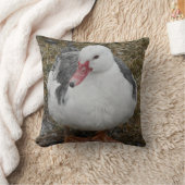 ムスコビダック装飾用クッション クッション (ブランケット)