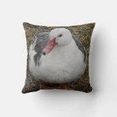 ムスコビダック装飾用クッション クッション (裏面)