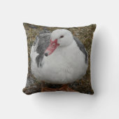 ムスコビダック装飾用クッション クッション (正面)