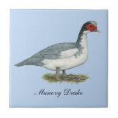 ムスコビブルーピエドレイク タイル (正面)