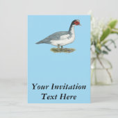 ムスコビブルーピエドレイク 招待状 (スタンド正面)