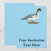 ムスコビブルーピエドレイク 招待状 (正面/裏面)