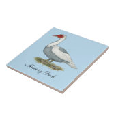 ムスコビブルー・ピエッド・アヒル タイル (側面)