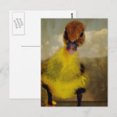 ムスコヴィ・ドリーミン ポストカード (正面/裏面)