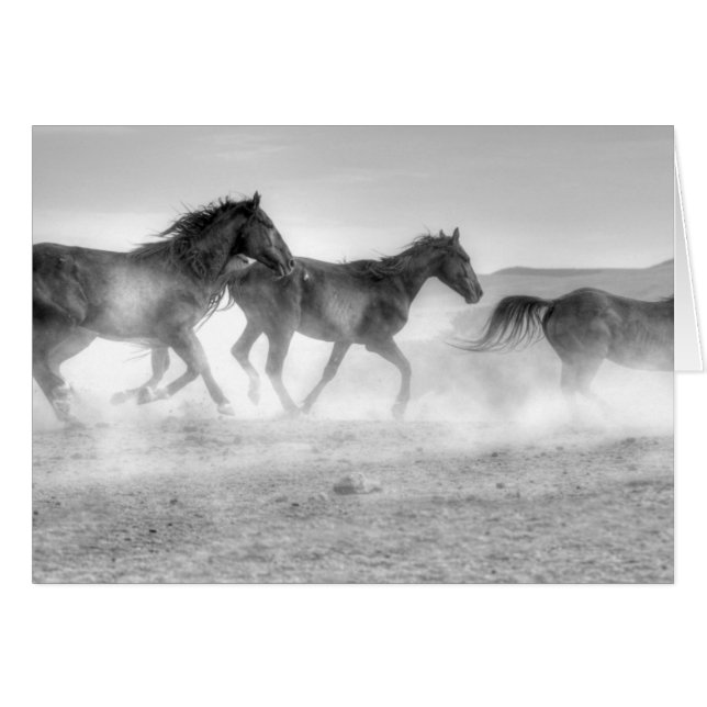 ムスタングの操業 (正面横)