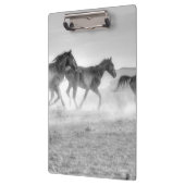 ムスタングの操業 クリップボード (左)