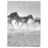 ムスタングの操業 クリップボード (裏面)