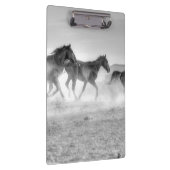 ムスタングの操業 クリップボード (右)