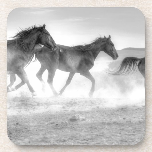 ムスタングの操業 コースター (正面)