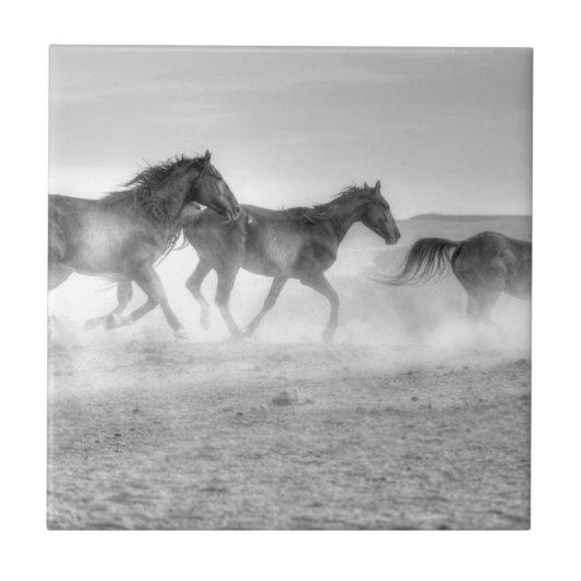 ムスタングの操業 タイル (正面)