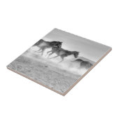 ムスタングの操業 タイル (側面)