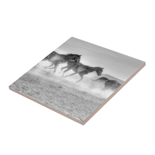 ムスタングの操業 タイル (側面)