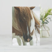 ムスタングの野生の馬の招待状 招待状 (スタンド正面)