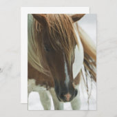 ムスタングの野生の馬の招待状 招待状 (正面/裏面)