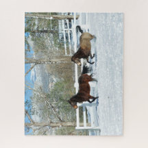 ムスタングスランニングパズルイン雪