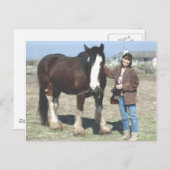 ムスタング精神の郵便はがき ポストカード (正面/裏面)