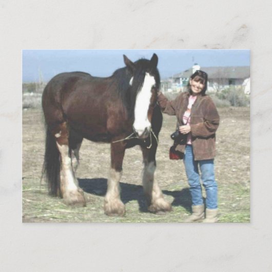 ムスタング精神の郵便はがき ポストカード (正面)