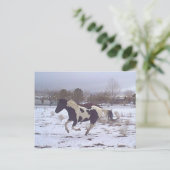 ムスタング精神の郵便はがき ポストカード (スタンド正面)