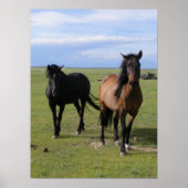 ムスタング ポスター (正面)