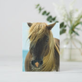 ムスタング ポストカード (スタンド正面)