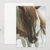 ムスタング ワイルド ホース インビテーション (正面/裏面)