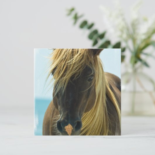 ムスタング 馬 招待状 (スタンド正面)