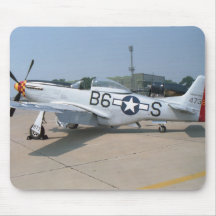 ムスタングP-51Dの航空機