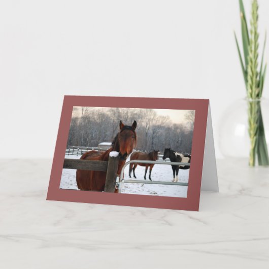 ムスタンホリデーカード シーズンカード (正面)