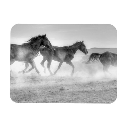 ムスタン走グ マグネット (横)