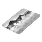 ムスタン走グ マグネット (左側)