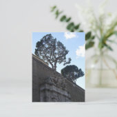 ムセイ・ヴァタカニ ポストカード (スタンド正面)