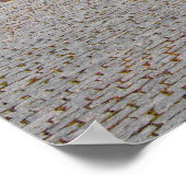 ムツフタジョージア ポスター (角)