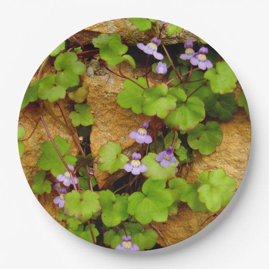 ムバラリアムラリス紙プレート ペーパープレート (正面)