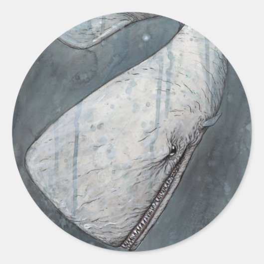 ムビーディック ラウンドシール (正面)