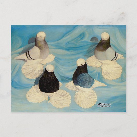 ムフのタンブラー4 ポストカード (正面)