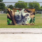 ムラサキとムラサキ付きカッブの旗 横断幕 (インサイチュ)