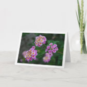 ムラサキと黄色のランタナの花 カード (正面)