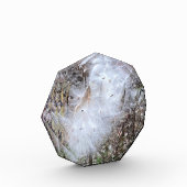 ムラサキの種と絹 フォトブロック (左)