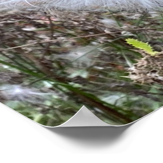 ムラサキの種と絹 ポスター (角)