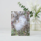 ムラサキの種と絹 ポストカード (スタンド正面)