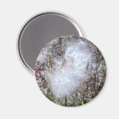 ムラサキの種と絹 マグネット (正面/裏面)