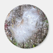 ムラサキの種と絹 マグネット (正面)