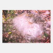 ムラサキの種と絹 ラッピングペーパーシート (正面3)