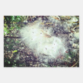 ムラサキの種と絹 ラッピングペーパーシート (正面2)