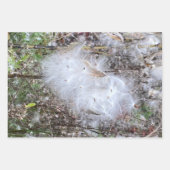 ムラサキの種と絹 ラッピングペーパーシート (正面)