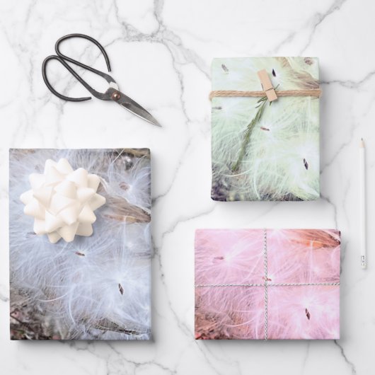 ムラサキの種と絹 ラッピングペーパーシート (正面)