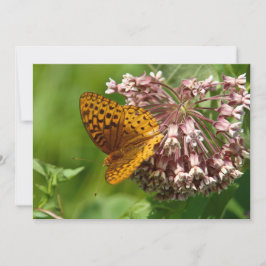 ムラサキの蝶 – フラットグリーティングカード カード