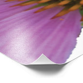 ムラサキアカネ フォトプリント            (角)