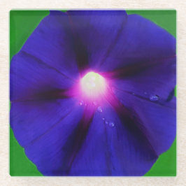 ムラサキアサガオの花 ガラスコースター