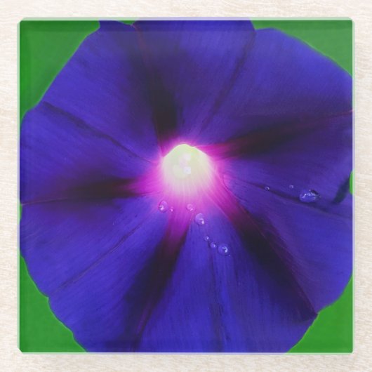 ムラサキアサガオの花 ガラスコースター (正面)